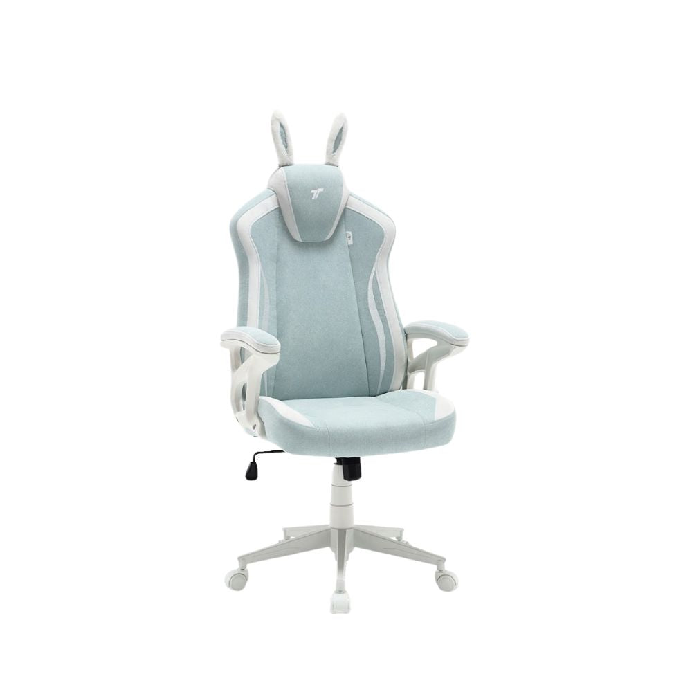 TTRacing Duo V4 Gaming Chair