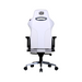 Cooler Master Caliber X2C Gaming Chair