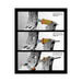 PXN Vector X clutch three-phase force curve stages