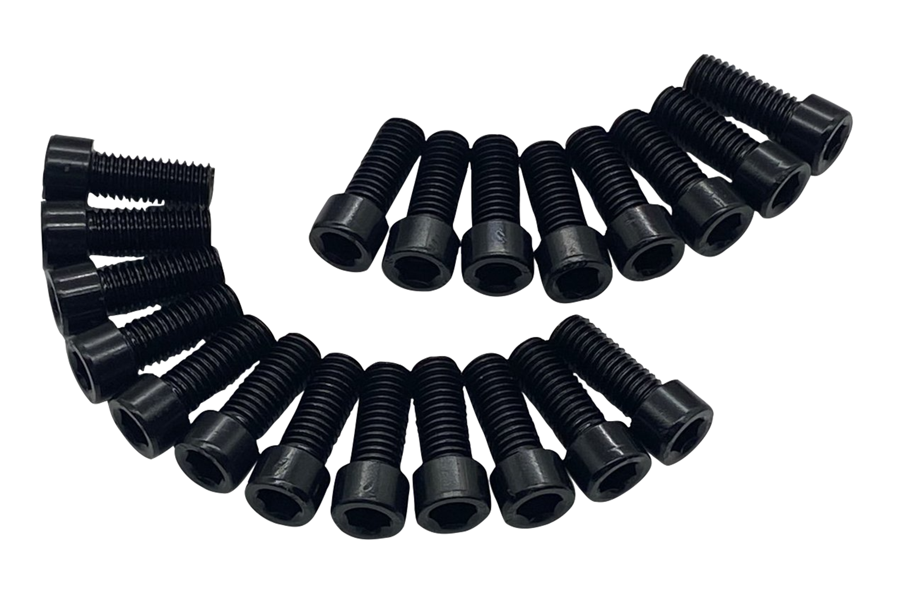 Trak Racer M8x20mm Hex Screws (Set of 20)